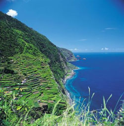 Madeira Summer Holidays
